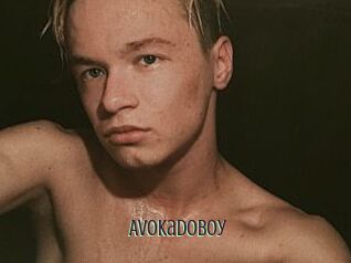 AvokadoBoy