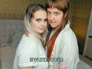 Breeandantonia